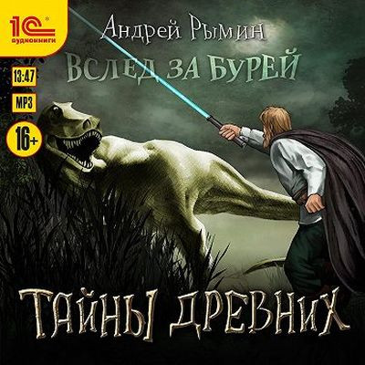 Андрей Рымин - Вслед за Бурей 4. Тайны древних (2023) MP3 скачать торрент