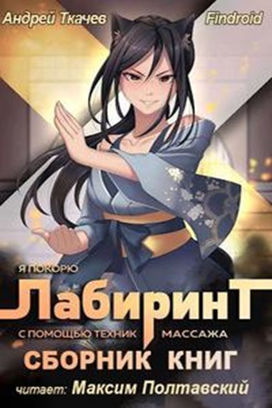 Андрей Ткачев, Findroid - Я покорю Лабиринт с помощью техник массажа [5 книг] (2022) МР3 скачать торрент